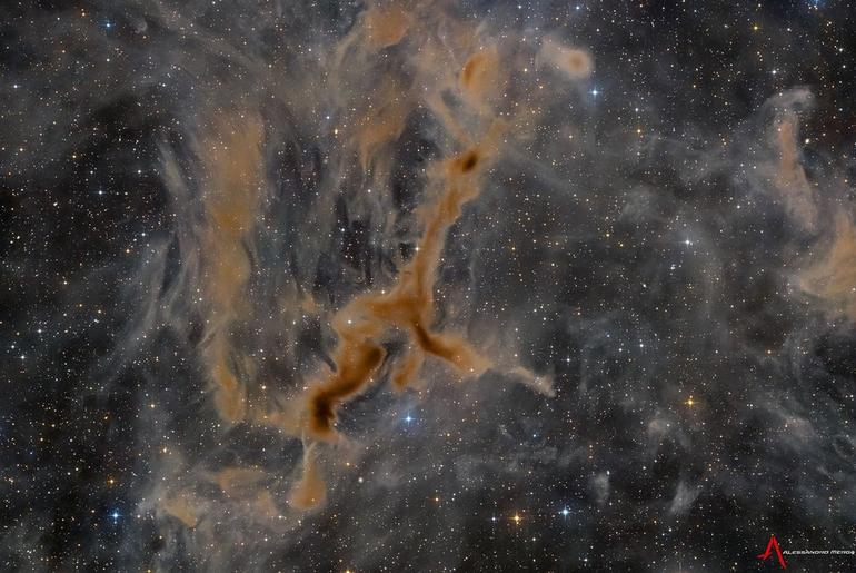 APOD: 2026 September 10 – LDN 1295: The Giraffe Nebula