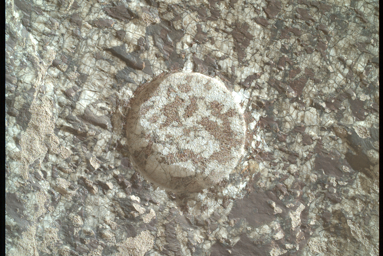 Mars Has Its Charmes