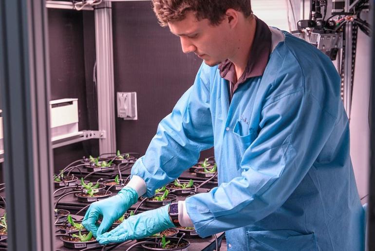 NASA, International Partners Advance Work on Space Crops
