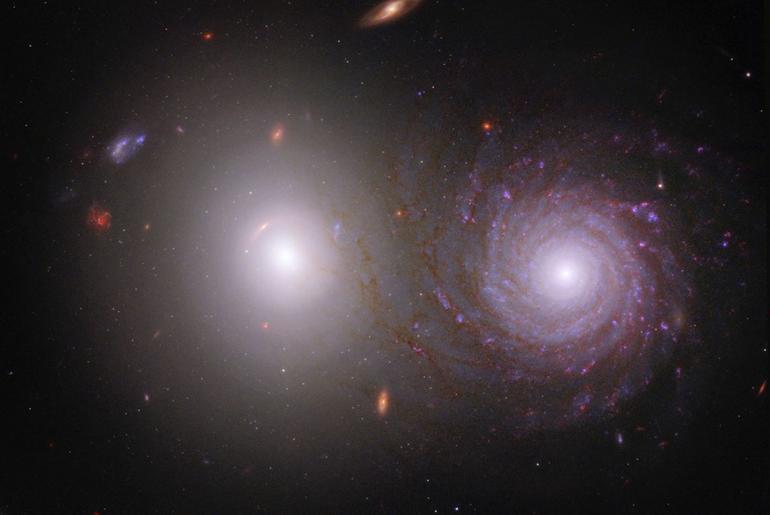 Help Overlap Zoo Reveal Cosmic Dust