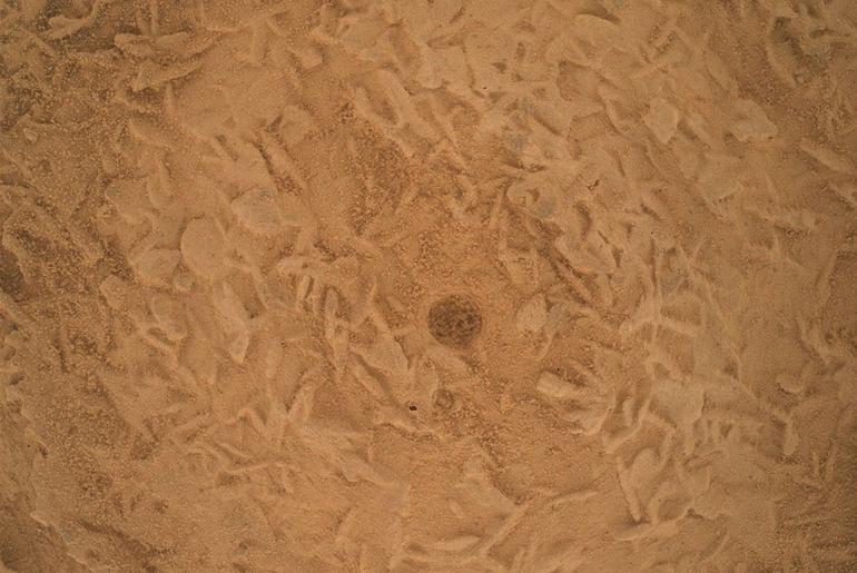 Curiosity Blog, Sols 5016–5021: Fantastic Minerals and How To…