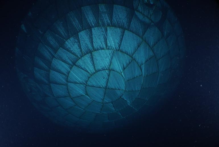 Artemis II Heat Shield After Splashdown