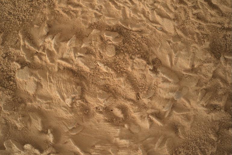 Curiosity Blog, Sols 5043-5049: Preparing to Drill at ‘Nazca’