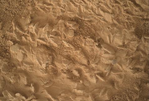 Curiosity Blog, Sols 5043-5049: Preparing to Drill at ‘Nazca’